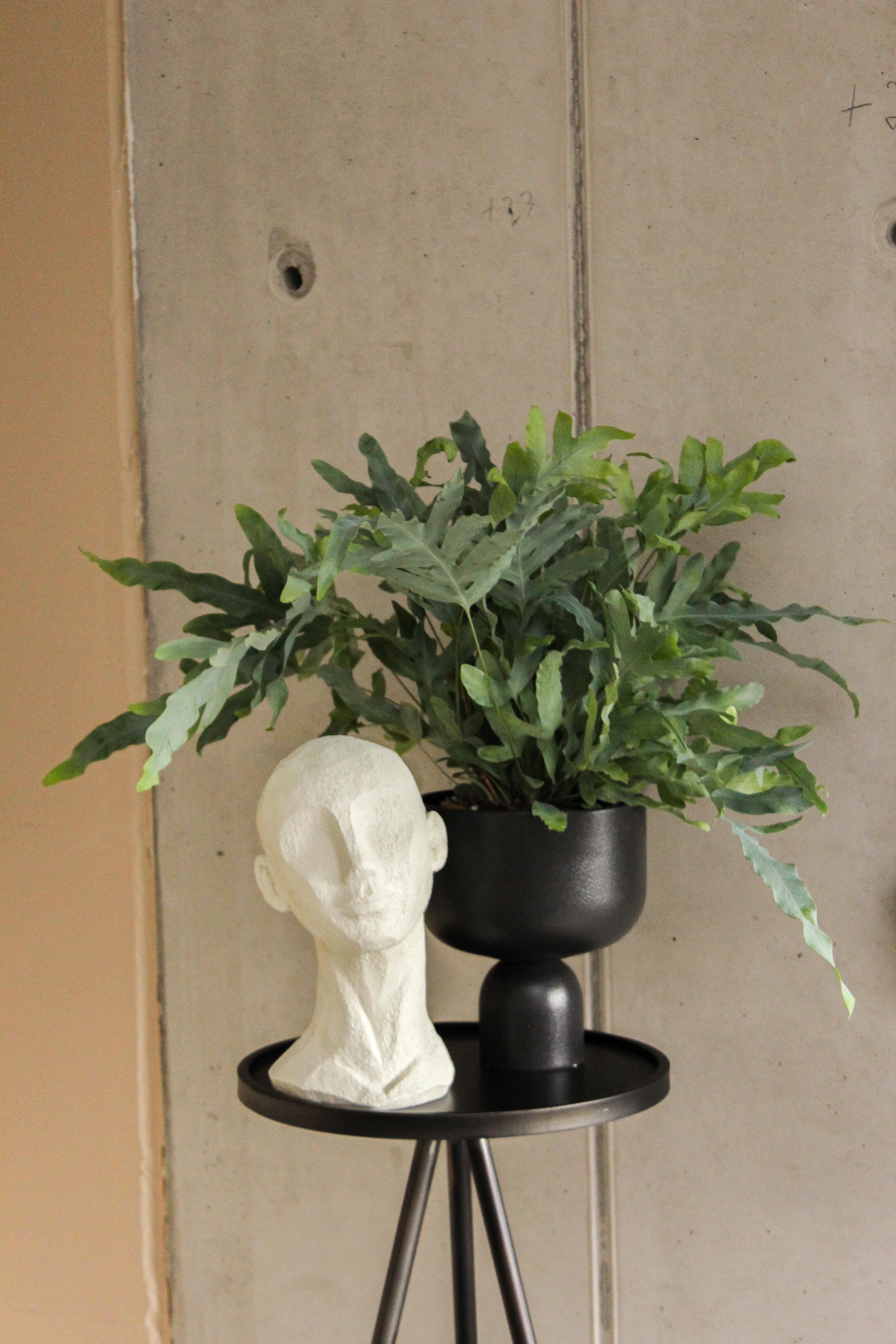 Wohnfuehl_Shop_UG_Vase_Nora_schwarz_1.jpg