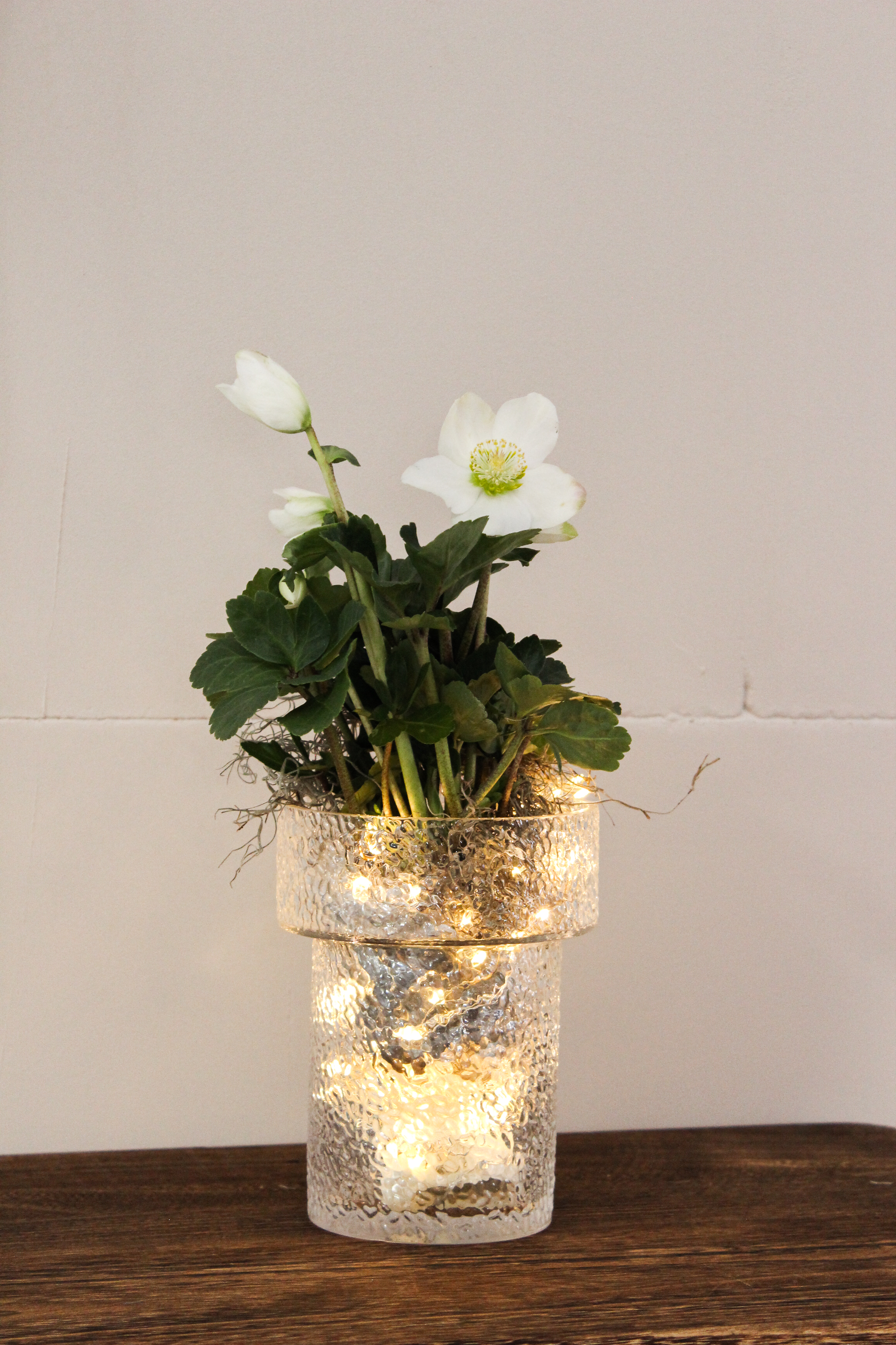 Wohnfuehl_Shop_UG_Vase_Dana_glas_9.jpg