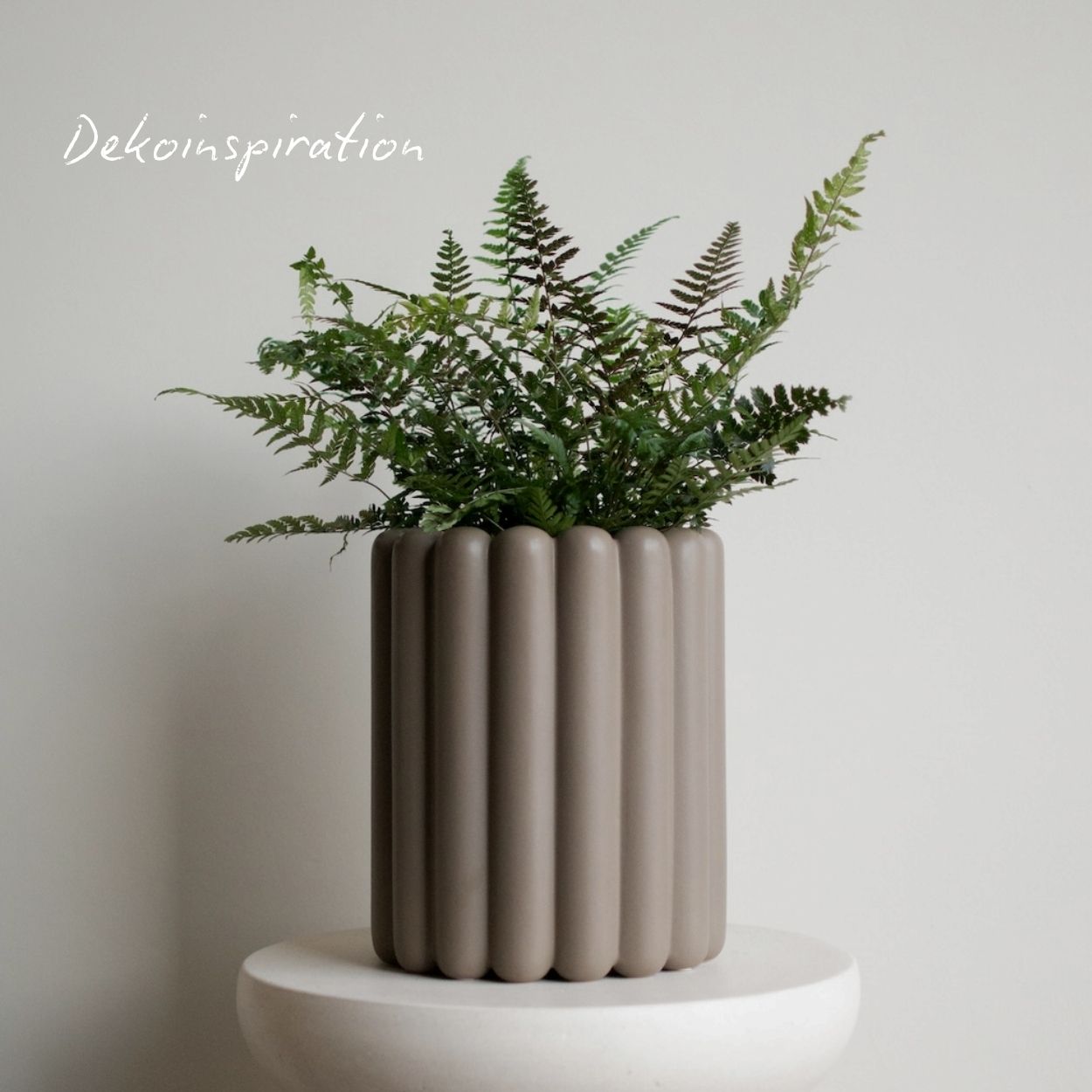 Topf Biskuit mittel - Taupe